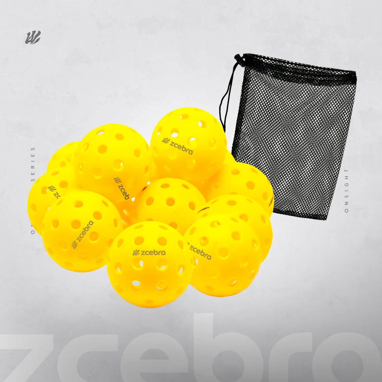 Pickleball Balls 40 Holes USA Pickleball Approved Pack