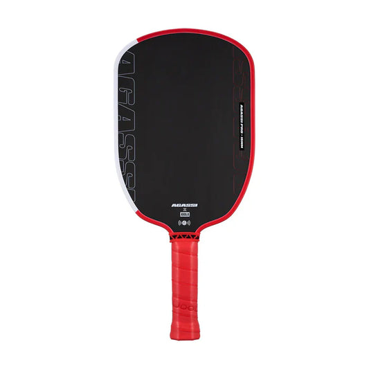 JOOLA Pickleball Paddle Agassi Pro IV  (Free Shipping ROI)