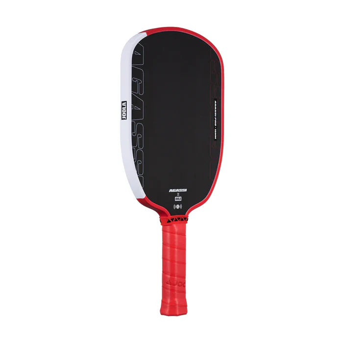 JOOLA Pickleball Paddle Agassi Pro IV  (Free Shipping ROI)