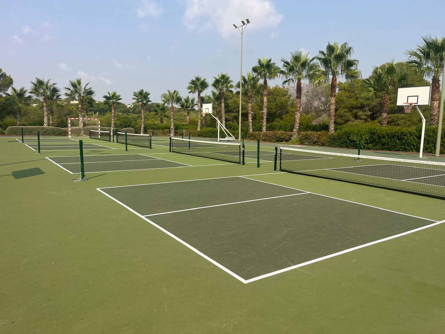 Alicante Pickleball Clinic October 7th to 11th 2026